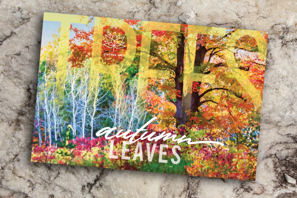Trees Autumn Leaves